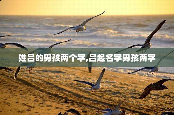 姓吕的男孩两个字,吕起名字男孩两字