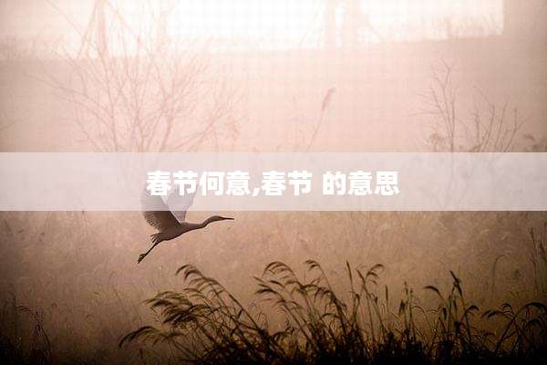 春节何意,春节 的意思