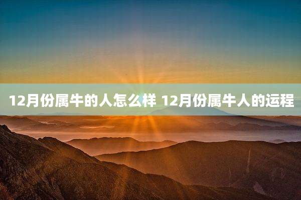 12月份属牛的人怎么样 12月份属牛人的运程