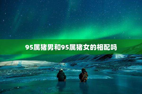 95属猪男和95属猪女的相配吗