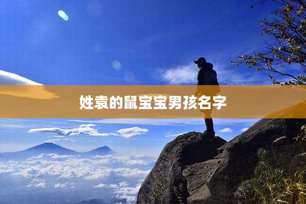 姓袁的鼠宝宝男孩名字