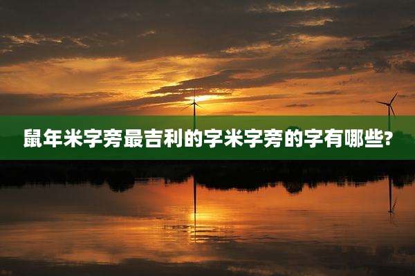 鼠年米字旁最吉利的字米字旁的字有哪些?