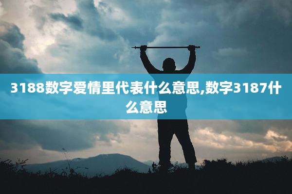 3188数字爱情里代表什么意思,数字3187什么意思