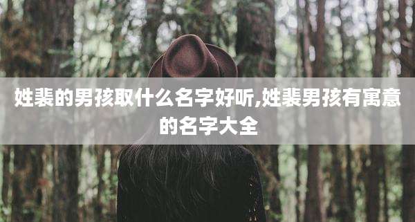 姓裴的男孩取什么名字好听,姓裴男孩有寓意的名字大全