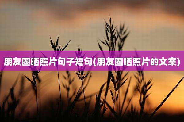 朋友圈晒照片句子短句(朋友圈晒照片的文案)