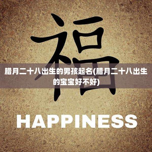 腊月二十八出生的男孩起名(腊月二十八出生的宝宝好不好)