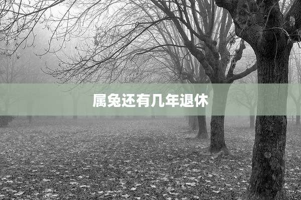 属兔还有几年退休