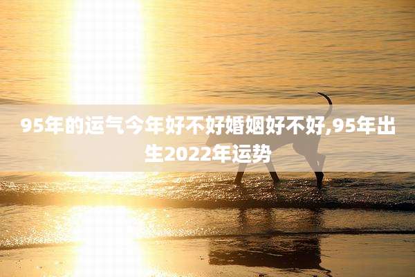 95年的运气今年好不好婚姻好不好,95年出生2022年运势