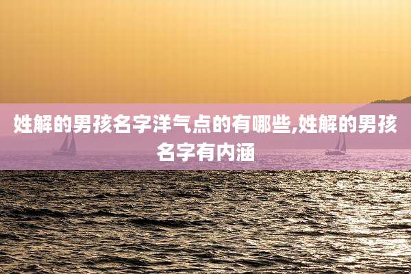 姓解的男孩名字洋气点的有哪些,姓解的男孩名字有内涵