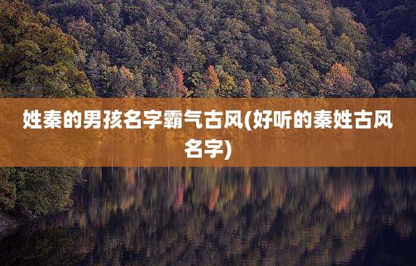 姓秦的男孩名字霸气古风(好听的秦姓古风名字)