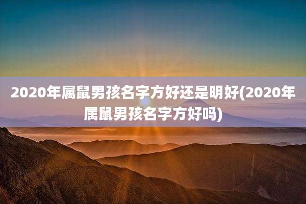 2020年属鼠男孩名字方好还是明好(2020年属鼠男孩名字方好吗)