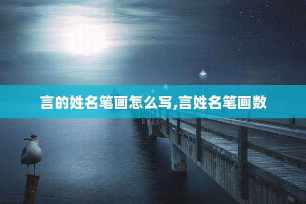 言的姓名笔画怎么写,言姓名笔画数