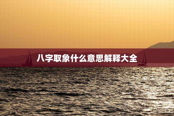 八字取象什么意思解释大全
