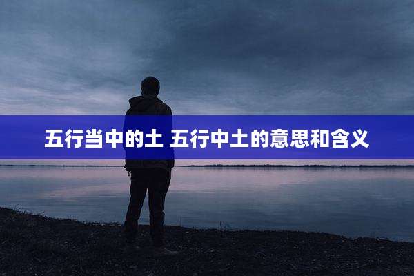 五行当中的土 五行中土的意思和含义