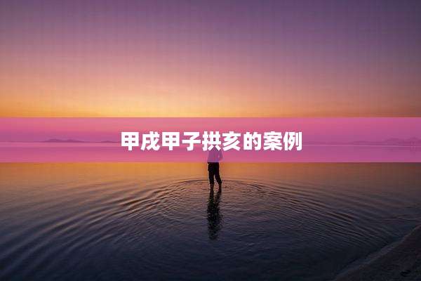 甲戌甲子拱亥的案例