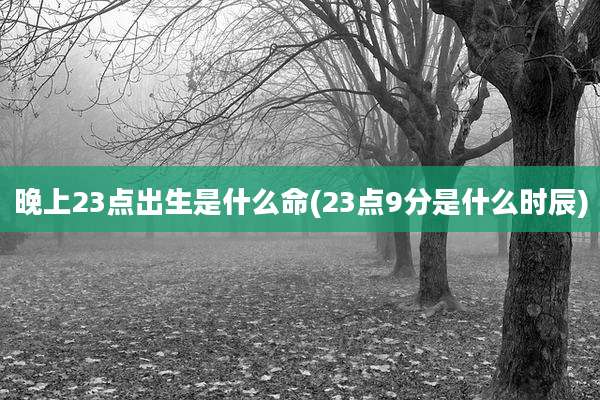 晚上23点出生是什么命(23点9分是什么时辰)
