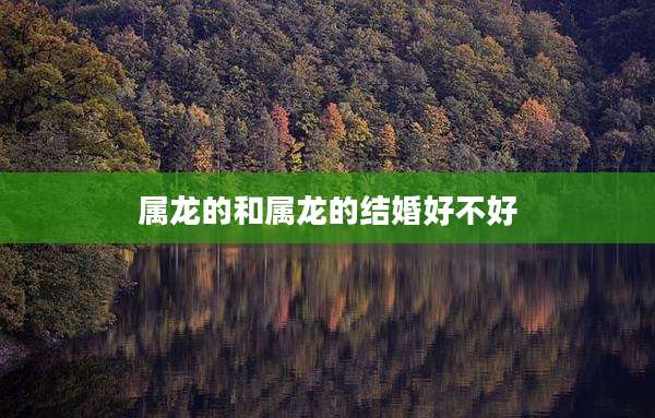 属龙的和属龙的结婚好不好