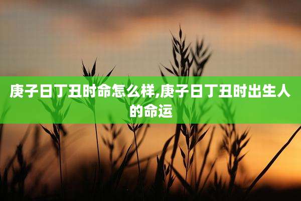 庚子日丁丑时命怎么样,庚子日丁丑时出生人的命运