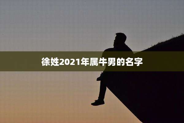 徐姓2021年属牛男的名字