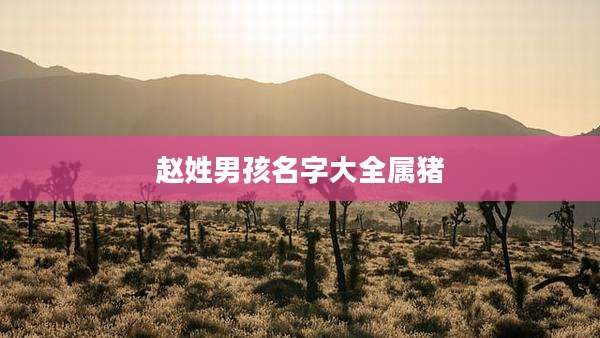 赵姓男孩名字大全属猪