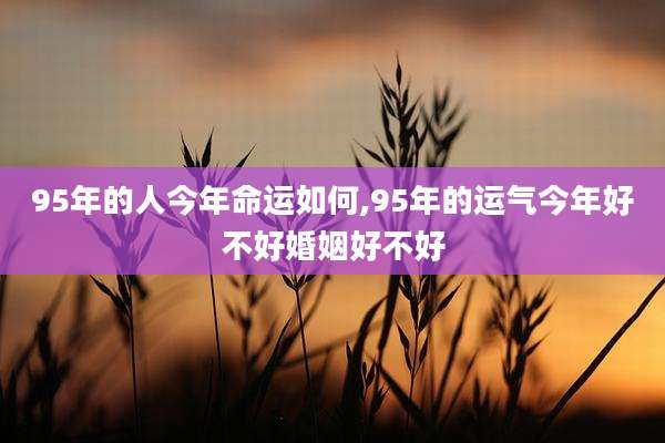 95年的人今年命运如何,95年的运气今年好不好婚姻好不好