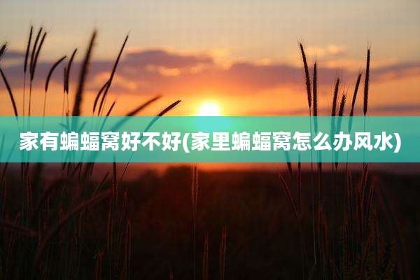 家有蝙蝠窝好不好(家里蝙蝠窝怎么办风水)