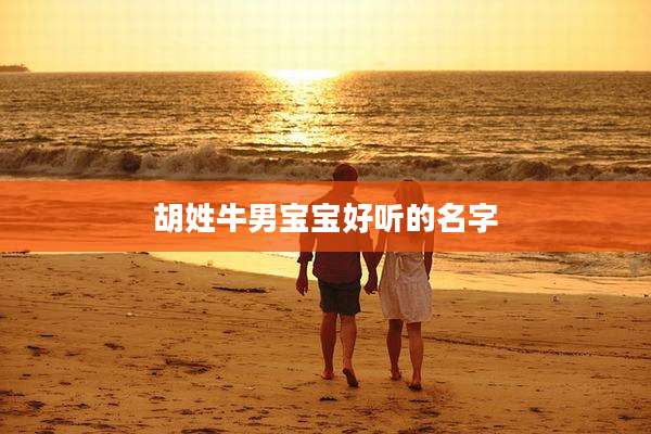 胡姓牛男宝宝好听的名字