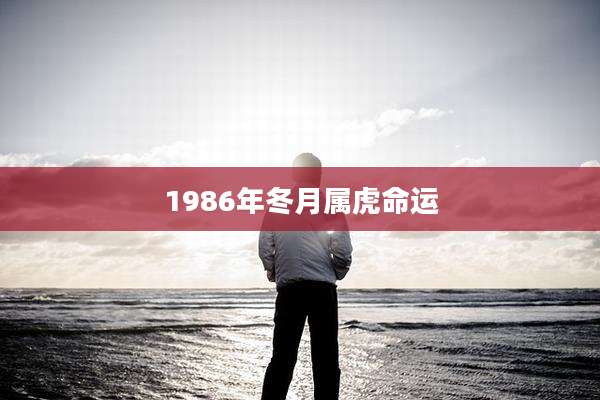 1986年冬月属虎命运