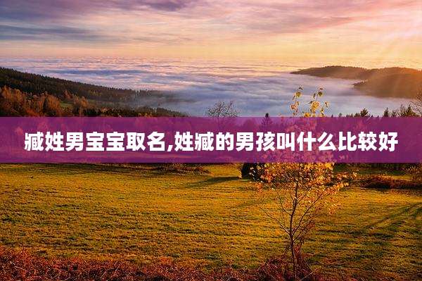 臧姓男宝宝取名,姓臧的男孩叫什么比较好