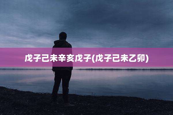 戊子己未辛亥戊子(戊子己未乙卯)