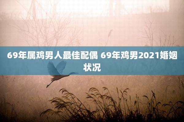 69年属鸡男人最佳配偶 69年鸡男2021婚姻状况