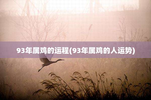 93年属鸡的运程(93年属鸡的人运势)