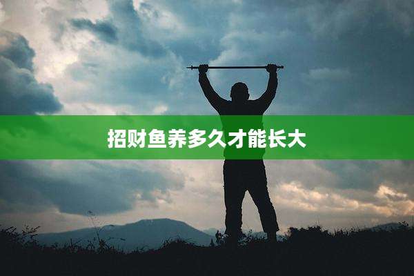 招财鱼养多久才能长大