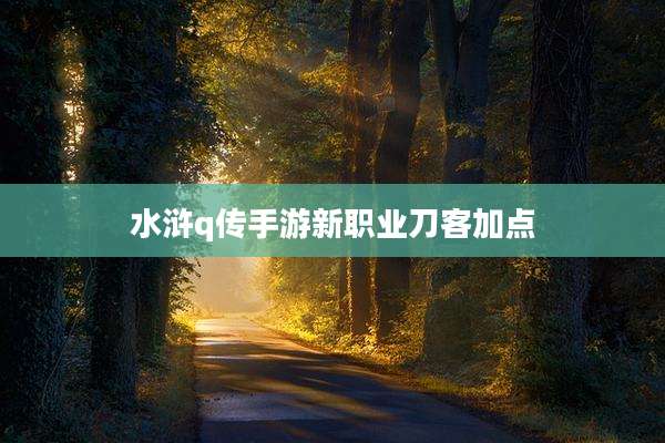 水浒q传手游新职业刀客加点