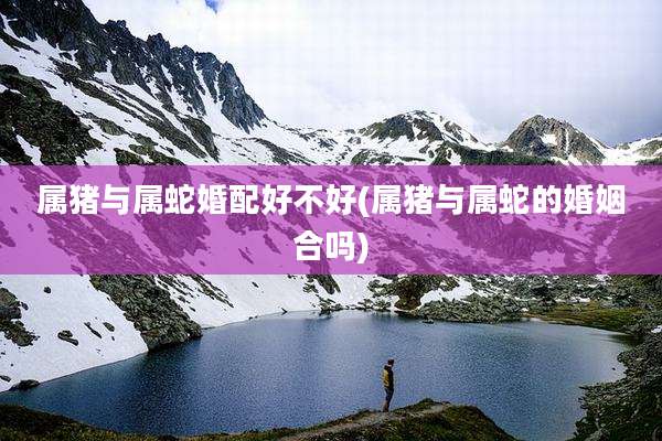 属猪与属蛇婚配好不好(属猪与属蛇的婚姻合吗)
