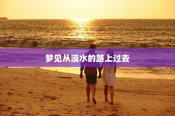 梦见从漫水的路上过去