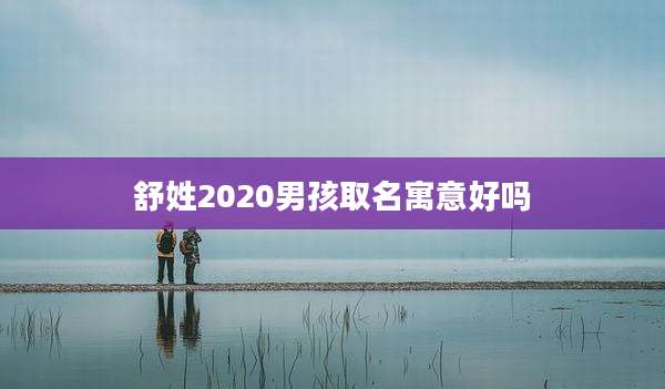 舒姓2020男孩取名寓意好吗