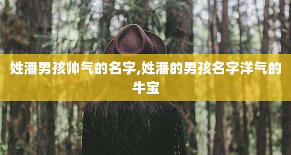姓潘男孩帅气的名字,姓潘的男孩名字洋气的牛宝