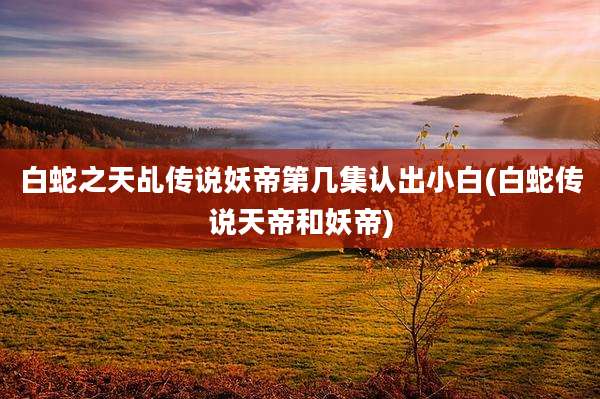 白蛇之天乩传说妖帝第几集认出小白(白蛇传说天帝和妖帝)