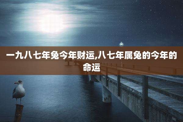 一九八七年兔今年财运,八七年属兔的今年的命运
