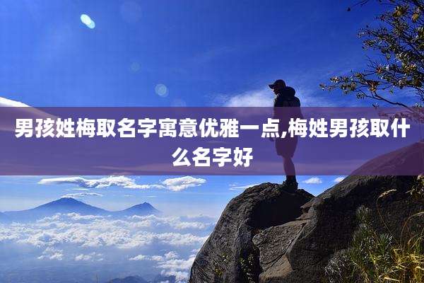 男孩姓梅取名字寓意优雅一点,梅姓男孩取什么名字好