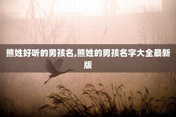熊姓好听的男孩名,熊姓的男孩名字大全最新版