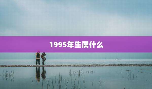 1995年生属什么