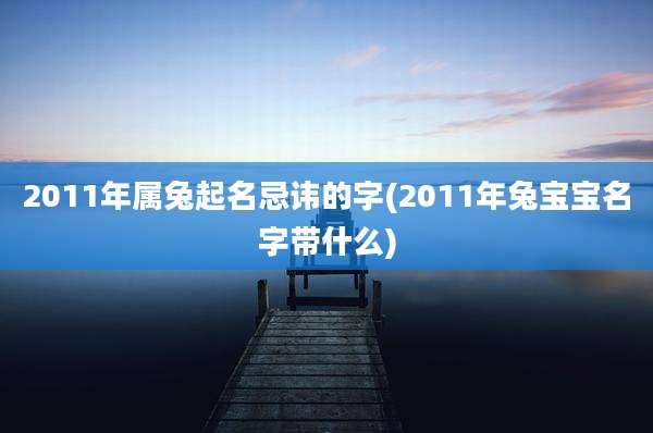 2011年属兔起名忌讳的字(2011年兔宝宝名字带什么)