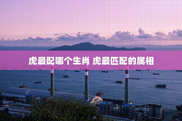 虎最配哪个生肖 虎最匹配的属相