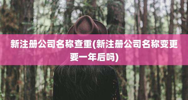 新注册公司名称查重(新注册公司名称变更要一年后吗)