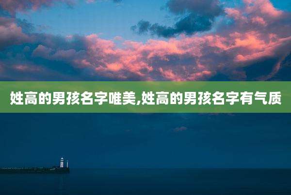 姓高的男孩名字唯美,姓高的男孩名字有气质