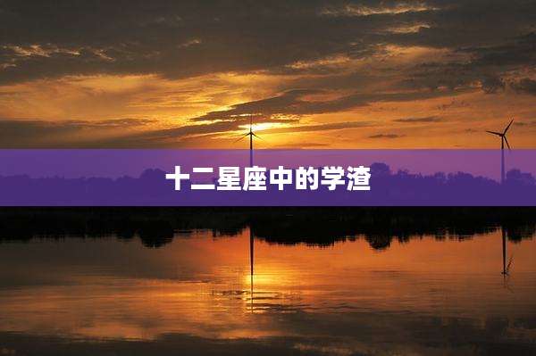十二星座中的学渣
