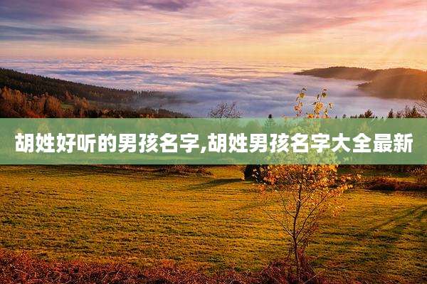 胡姓好听的男孩名字,胡姓男孩名字大全最新