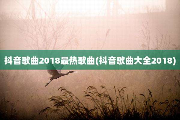 抖音歌曲2018最热歌曲(抖音歌曲大全2018)